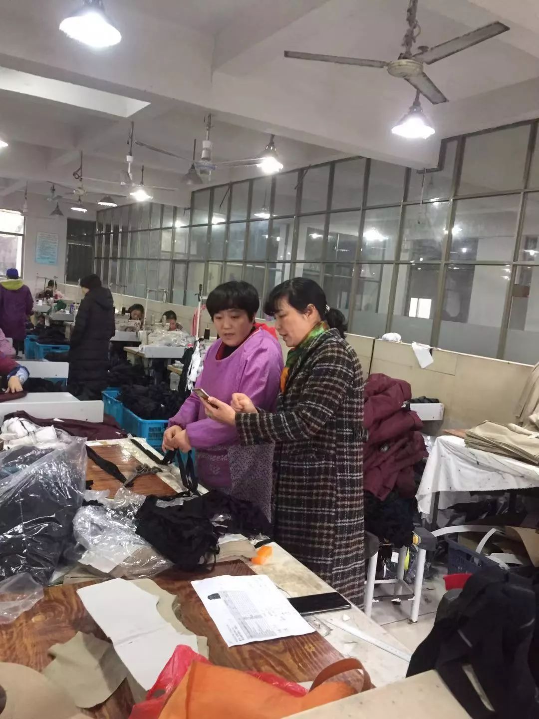最新浙里办，浙江数字化服务的典范
