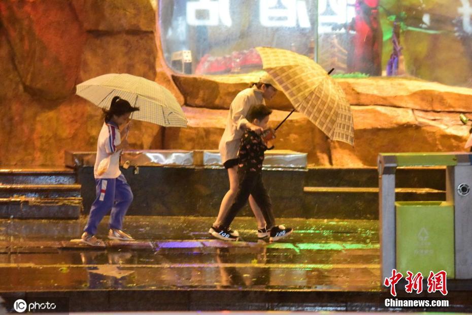 琼海最新台风消息，台风动态及影响分析