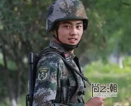 王金武最新动态与成就概览