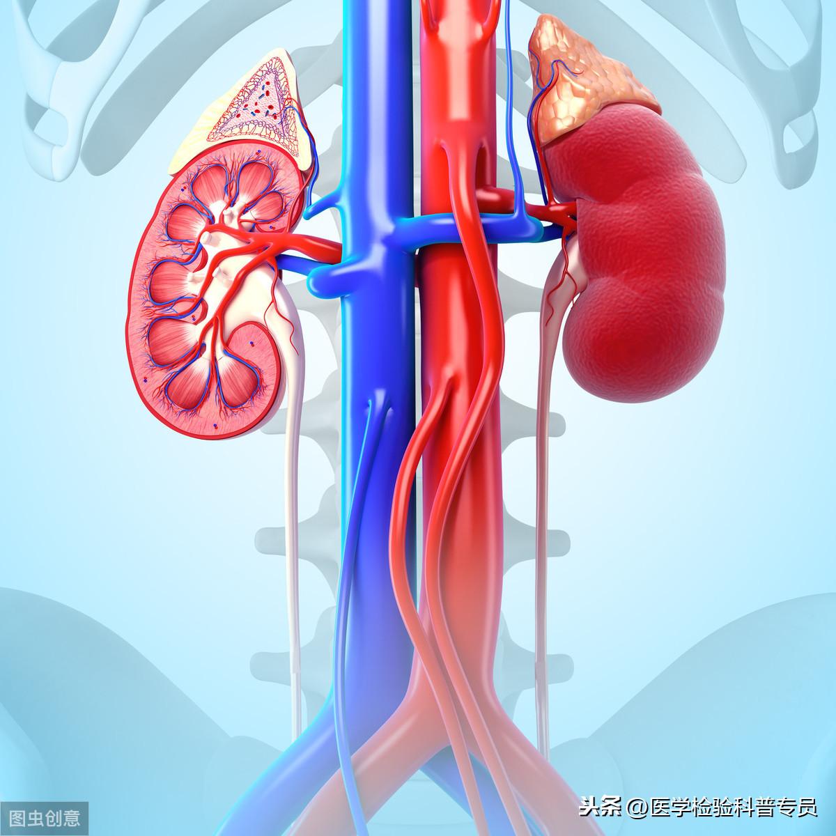 探索糖尿病诊断新领域，最新肾糖阈研究成果揭秘