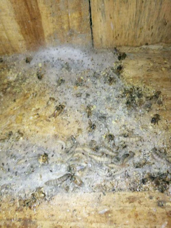 超薄平台桌面型(DA) 第939页