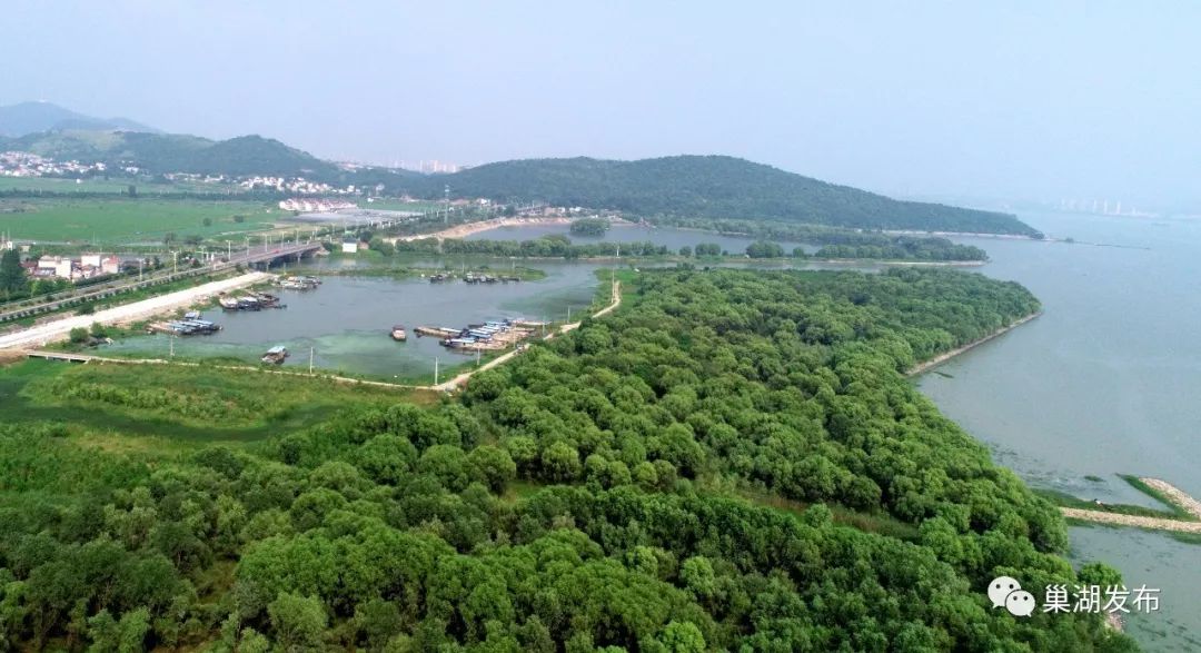 巢湖最新全面解析报告，最新动态与全面分析