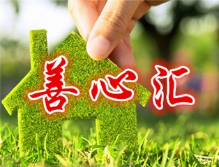 关于善心汇最新消息,全面分析数据执行_The31.58.91