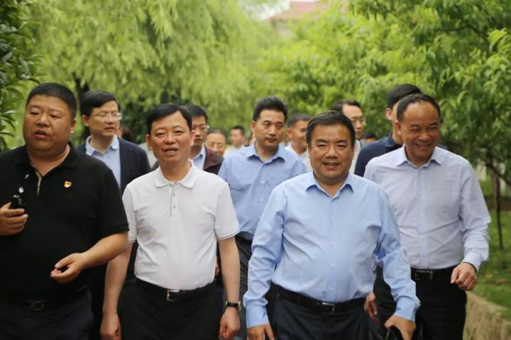 龙港镇镇委最新名单,迅捷解答策略解析_3DM31.63.78
