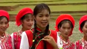 最新云南山歌尹小艳,定量分析解释定义_复古版94.32.55