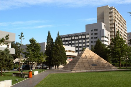 北京大学电影,数据导向计划设计_1440p65.86.46
