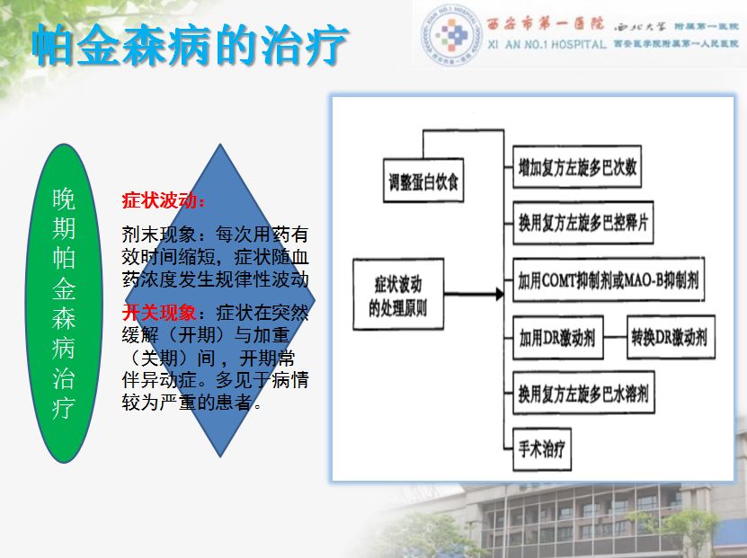 帕金森病最新治疗进展,真实解析数据_冒险款93.29.97