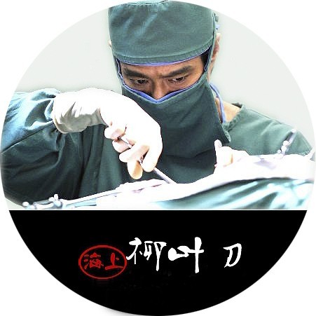 柳叶刀 演员表,持续设计解析策略_5DM69.89.42