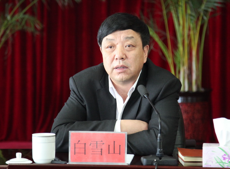 宁夏白雪山动态更新,精细设计解析策略_FHD93.37.57