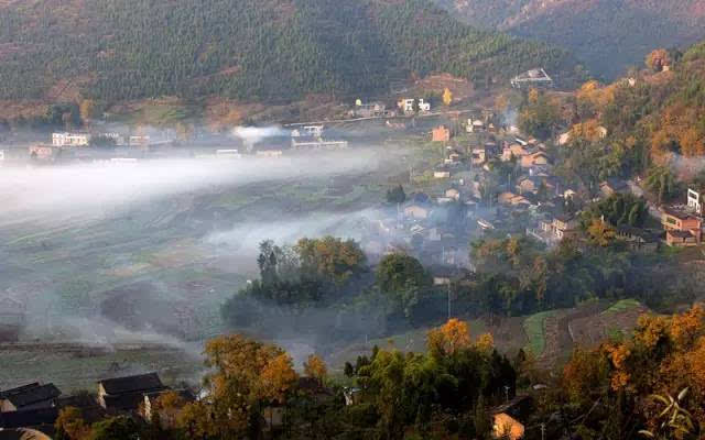 凸轮分割器 第12页