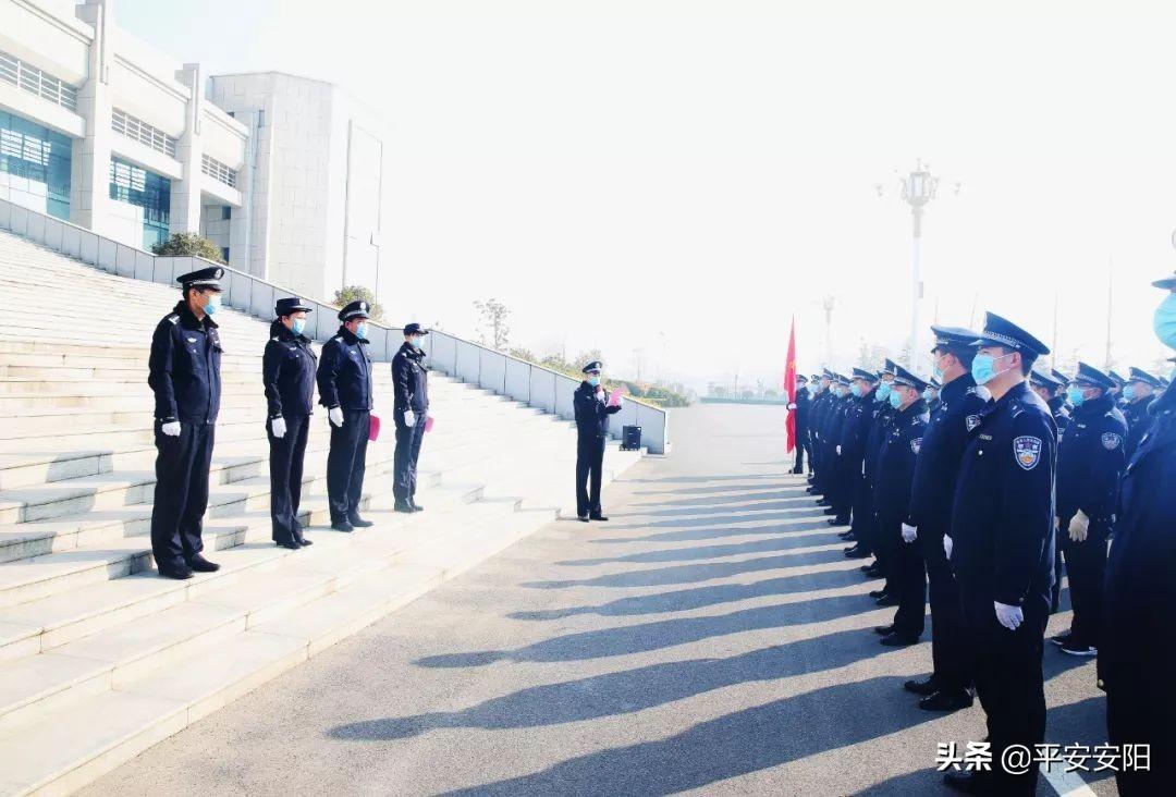 安阳疫情最新动态,最新解答解析说明_2DM56.83.56
