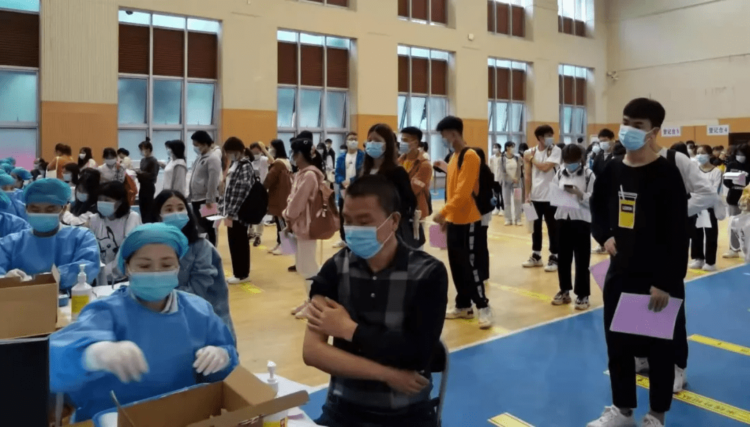 广东青梅收购最新消息,全面数据应用分析_3K23.71.95