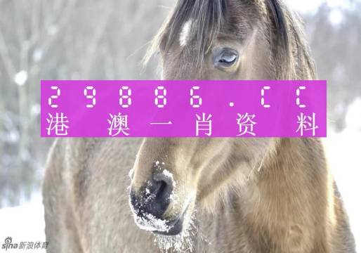 澳門一肖一碼100%精准王中王，科学解析评估_尊贵款4.3.86