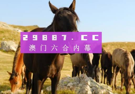 奥门管家婆一肖一码一中一,澳门管家婆独家预测一码_潮流版3.03