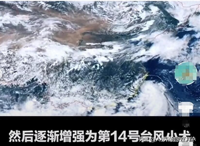 14号台风路径最新消息,动态调整策略执行_Ultra65.49.96