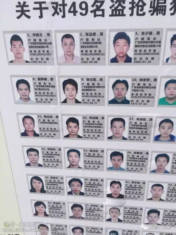 小虫网英德最新招聘,实地数据验证策略_高级款79.19.63