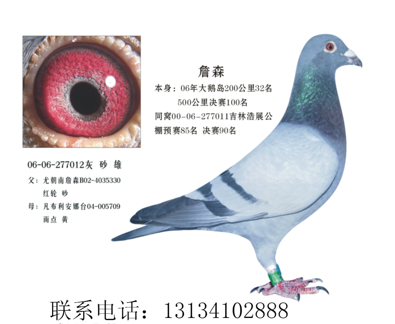 大庆浩宇公棚最新公告,稳健性策略评估_3D36.77.72