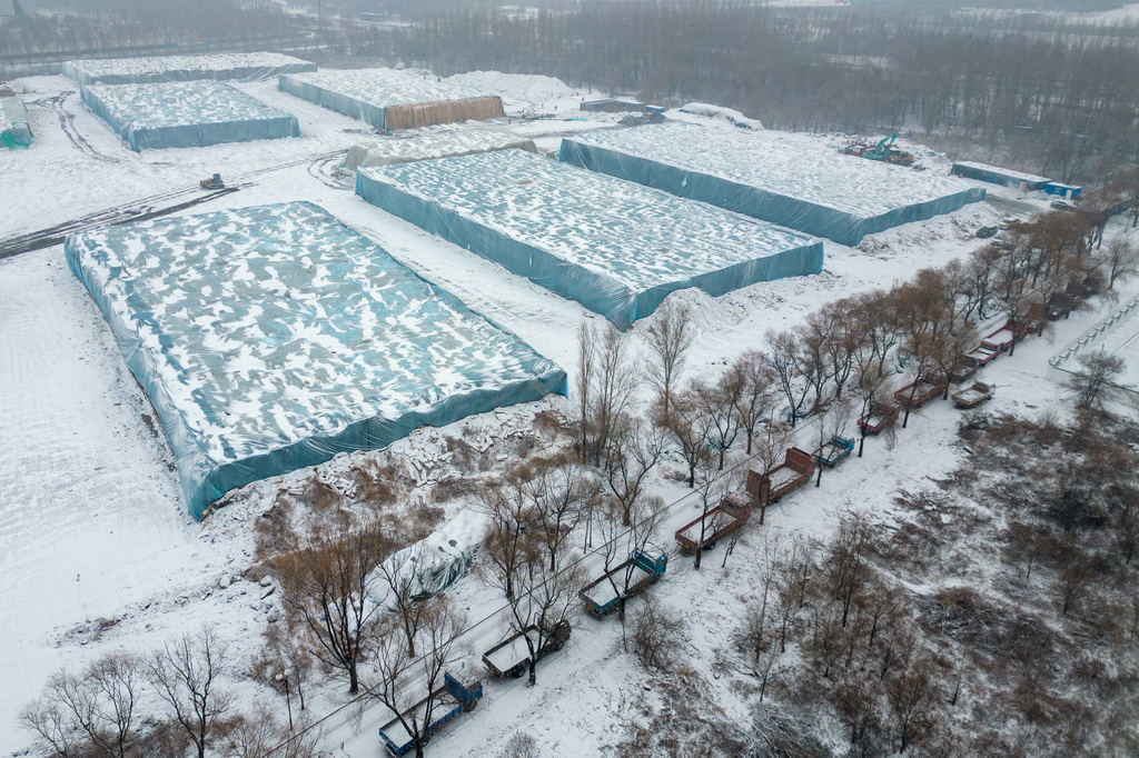 哈尔滨的雪最新,优选方案解析说明_DP68.10.22