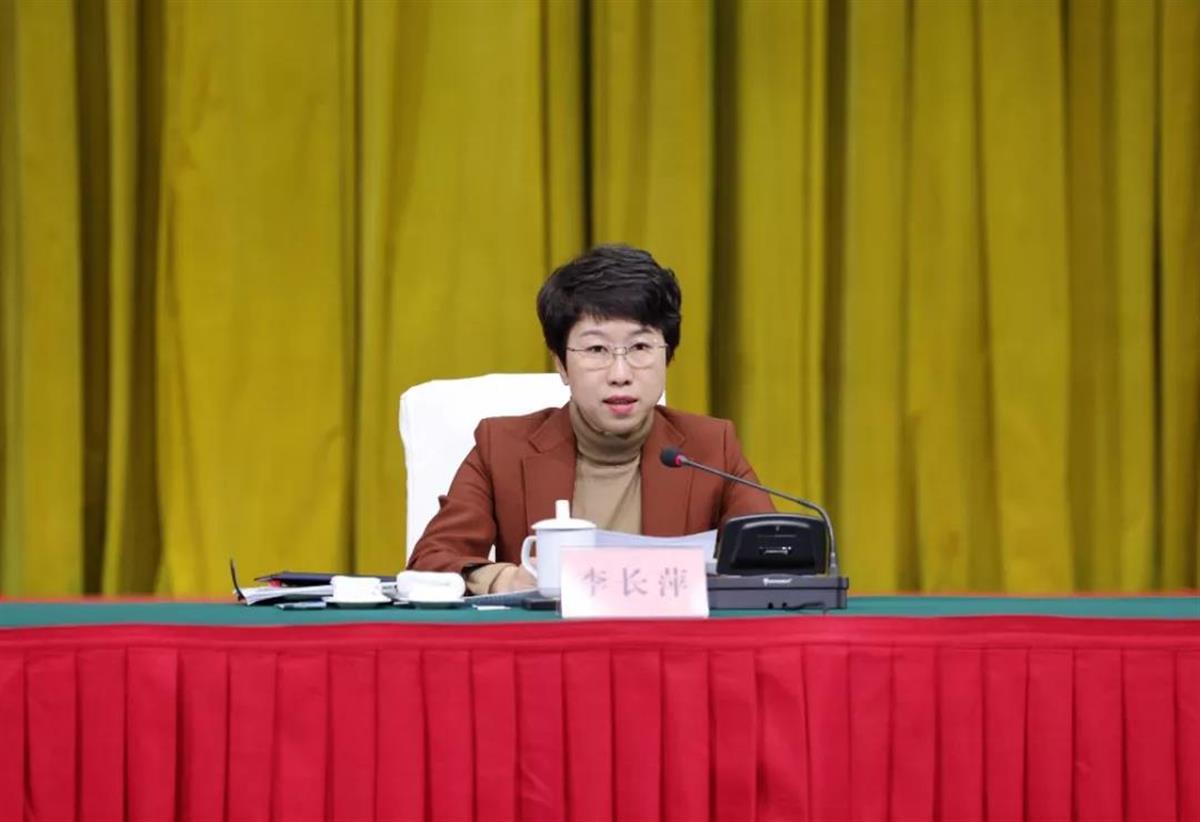 李长萍最新,深入数据设计策略_移动版53.91.39
