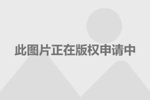 最新书法行书,权威解析说明_iPad77.11.44