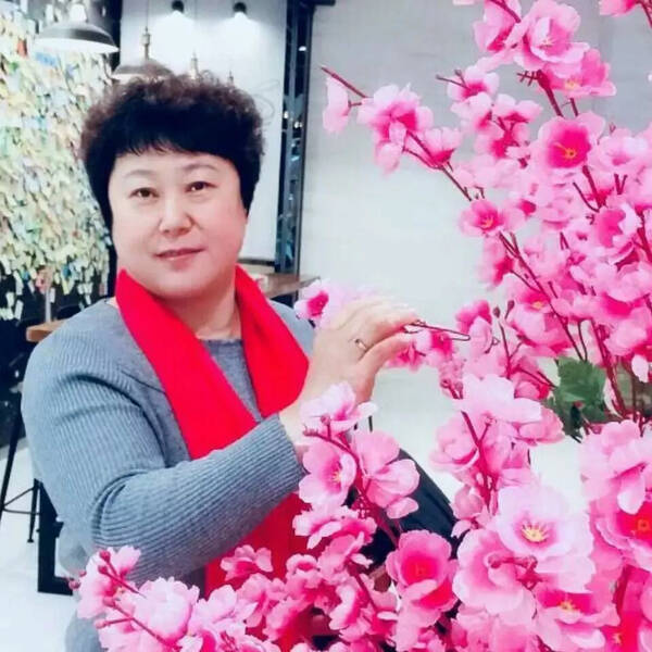 林英最新诗歌专集,全面解答解释定义_理财版23.80.69