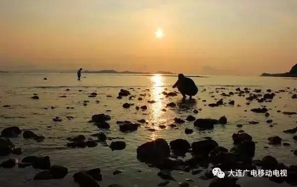 交流岛西中岛最新动迁,全面分析解释定义_V版37.50.36