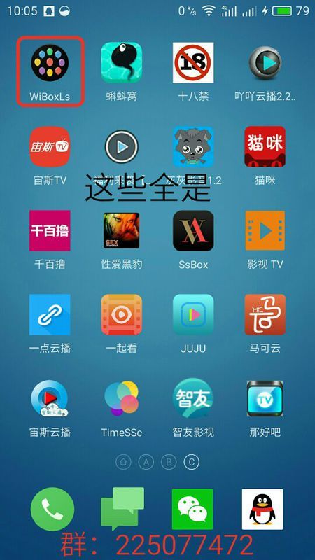 wiboxls9.9最新版,创新策略解析_5DM10.84.14