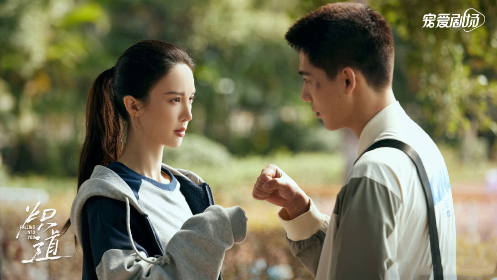 炽道电视剧在线观看,整体规划执行讲解_bundle74.20.79