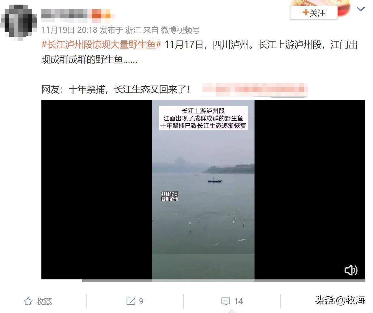 长江垃圾事件最新消息,持久性策略解析_PalmOS56.23.25
